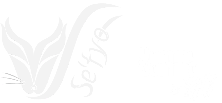 Se’tyo - Character & Expression Design